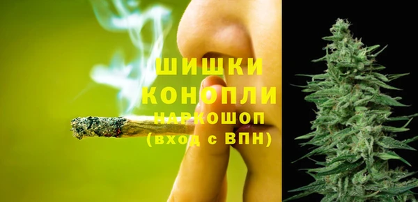spice Алексин