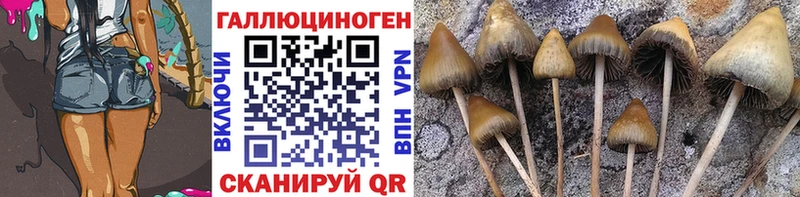 Галлюциногенные грибы MAGIC MUSHROOMS  Щёкино 